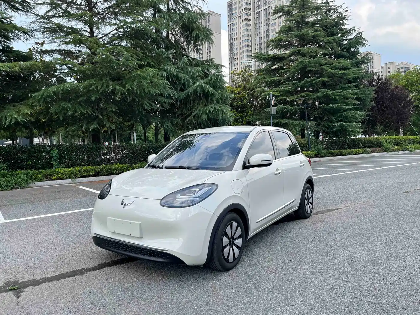 Wuling Motors Wuling Bingo 2023 Model 333km Joy+ Version
