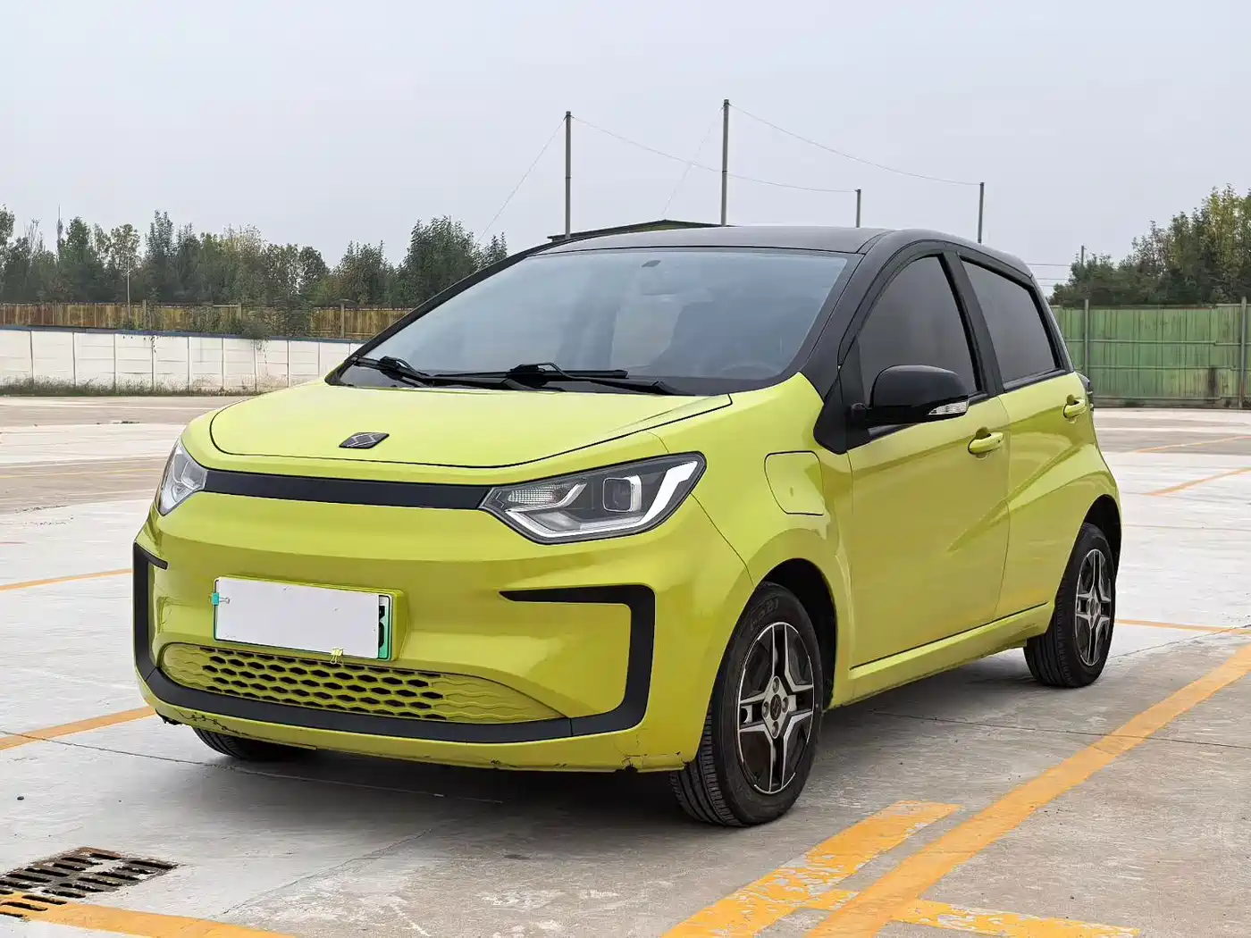 Sehol Flower Fairy 2021 2021 302km Fashion Edition 31.4kWh