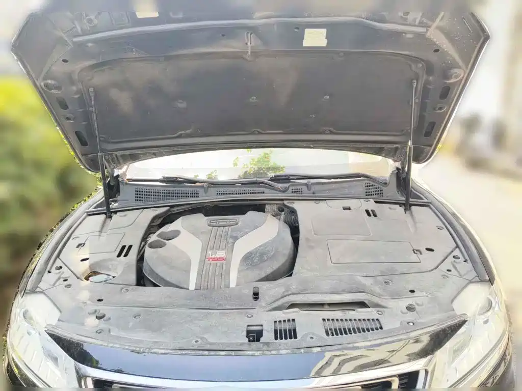 Geely Borui 2017 2017 1.8T Luxury