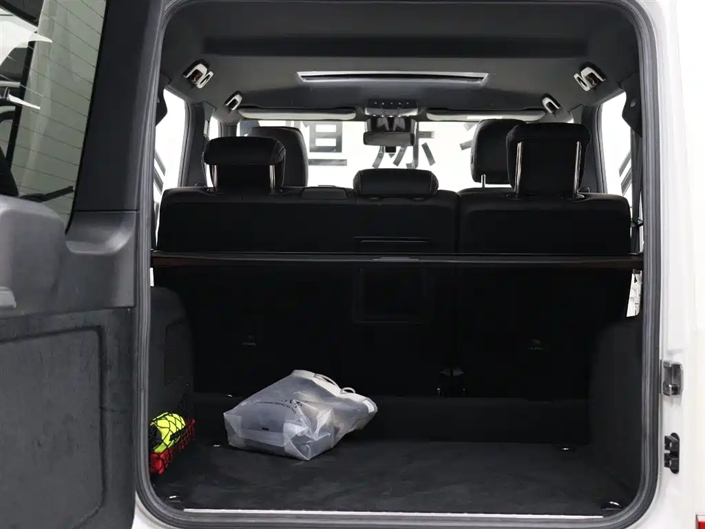 Mercedes-Benz G-Class 2020 G 500 фото 11