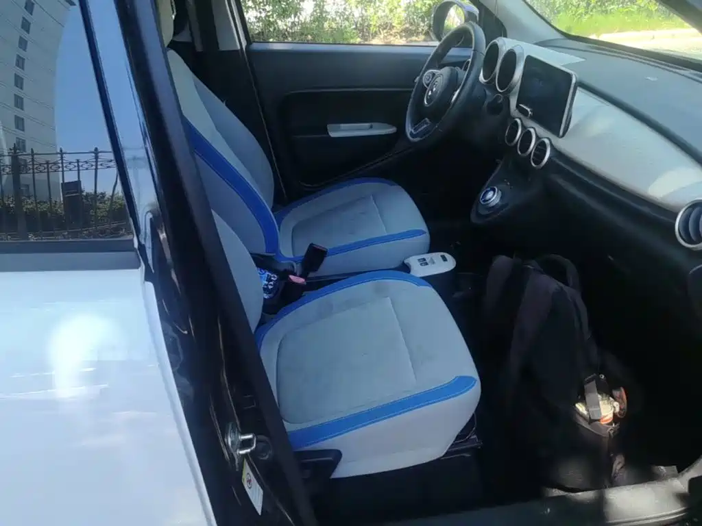 Photo 25 - Ora Black Cat