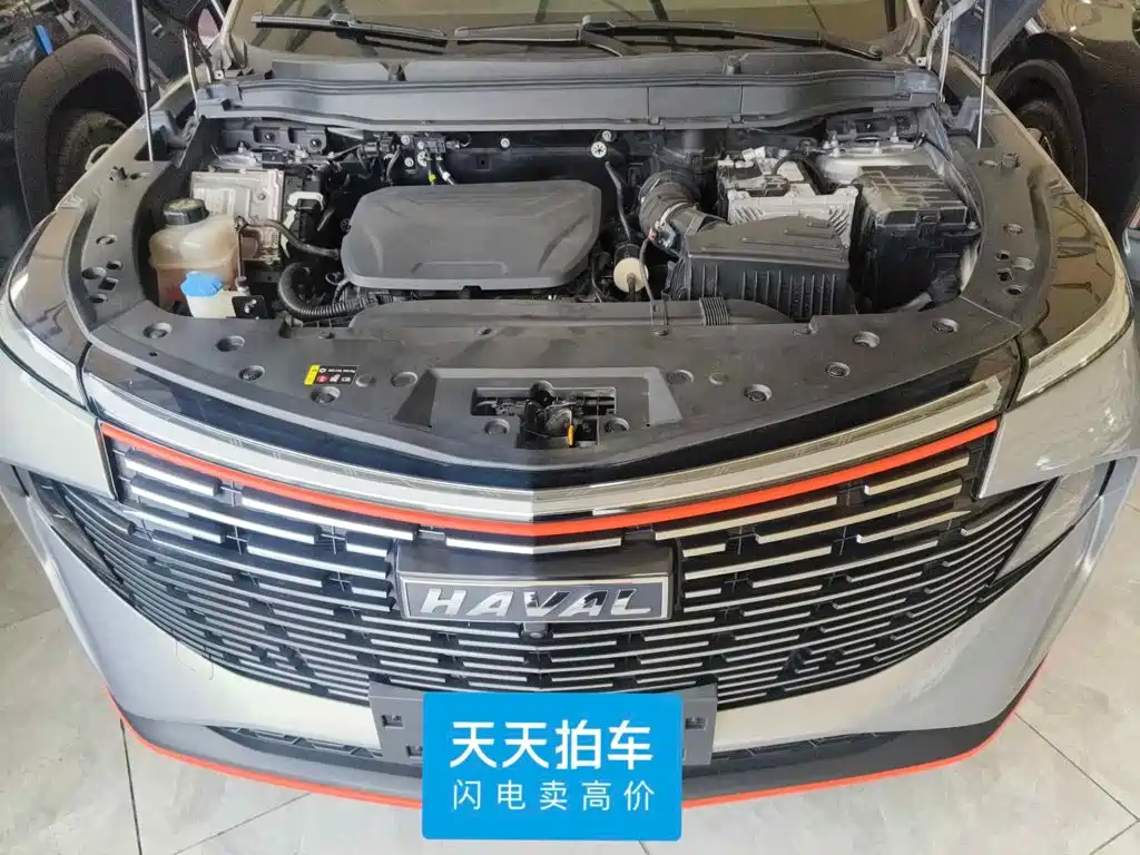 Haval Shenshou 2022 2022 1.5T Smart Enjoyment Edition