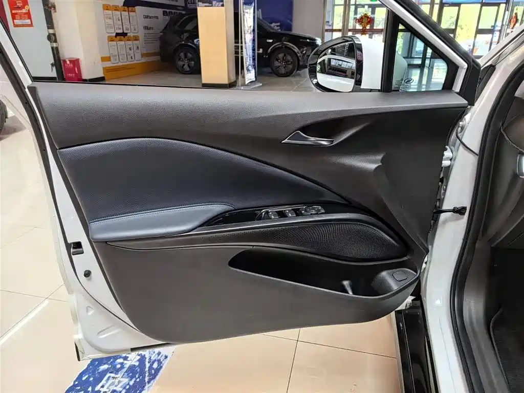 BUICK SLIGHTLY BLUE 6