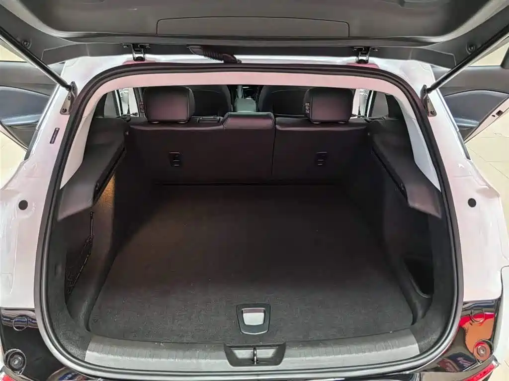 BUICK SLIGHTLY BLUE 6