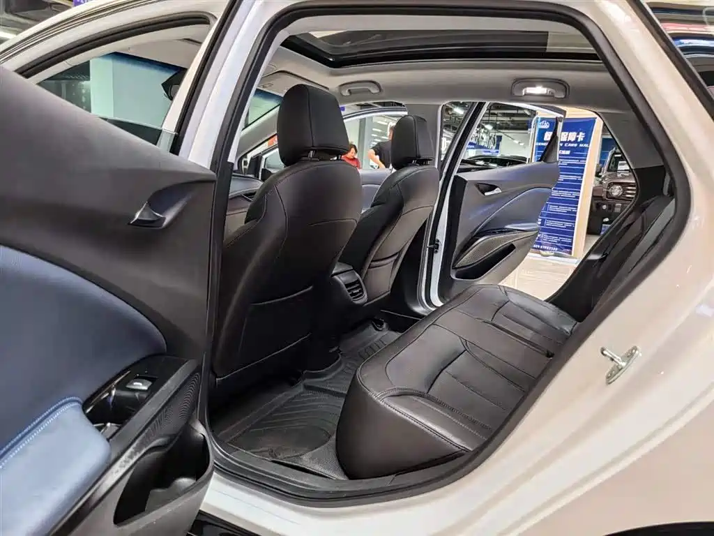 BUICK SLIGHTLY BLUE 6