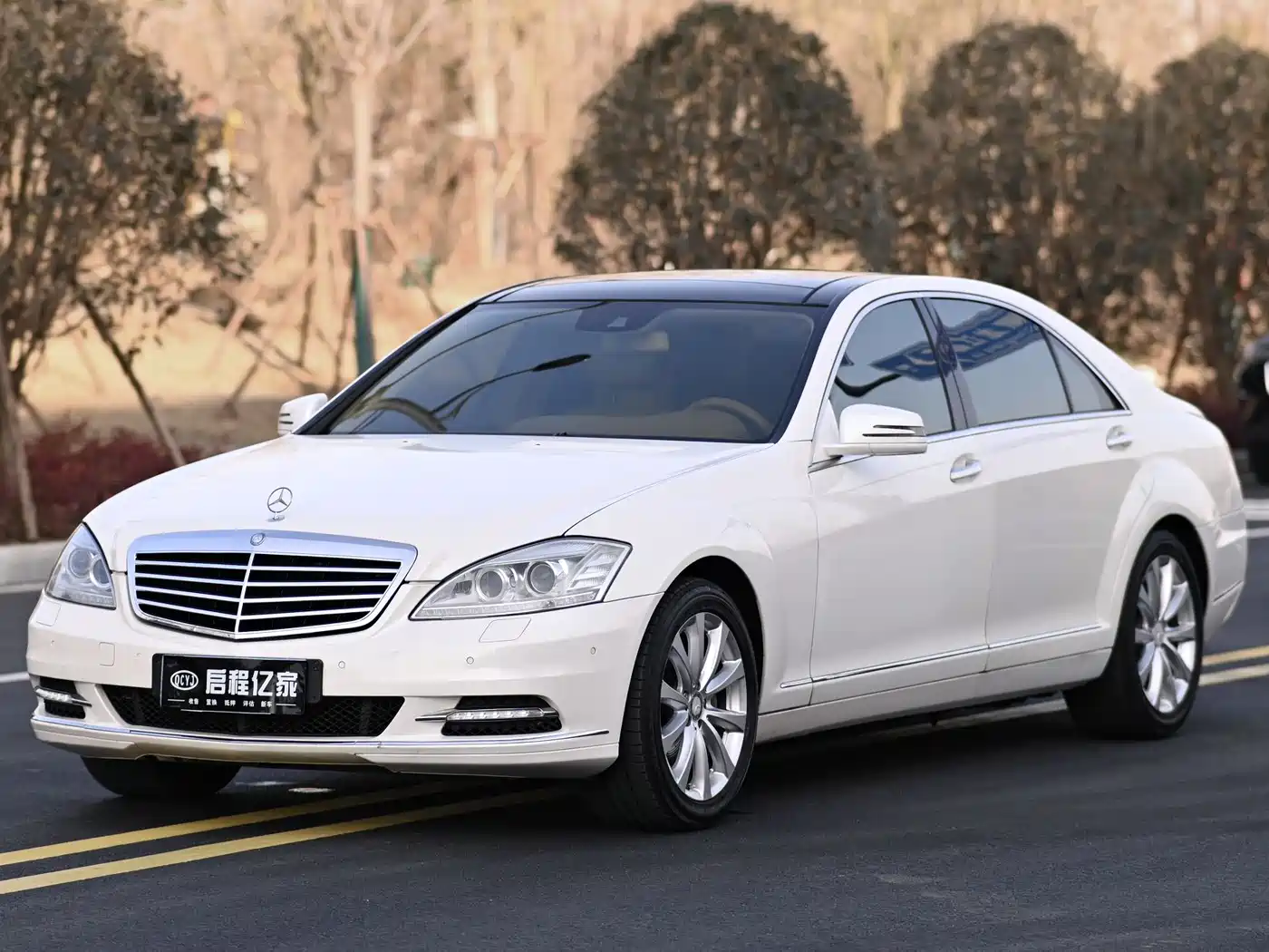 Mercedes-Benz S-Class 2010 S 300 L Luxury