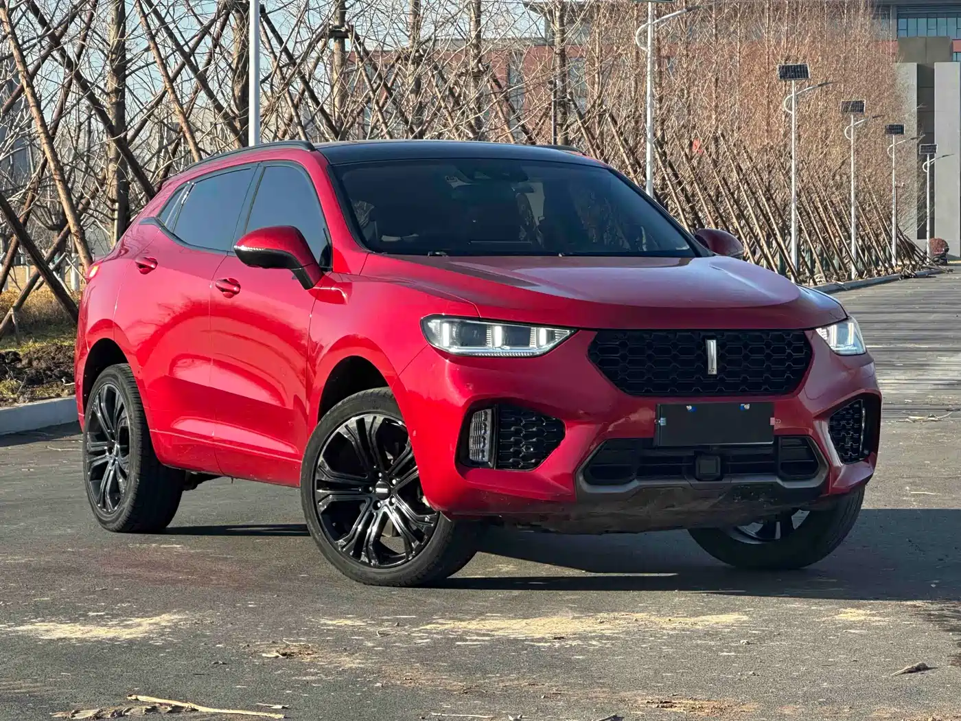 WEI PAI WEI BRAND VV5