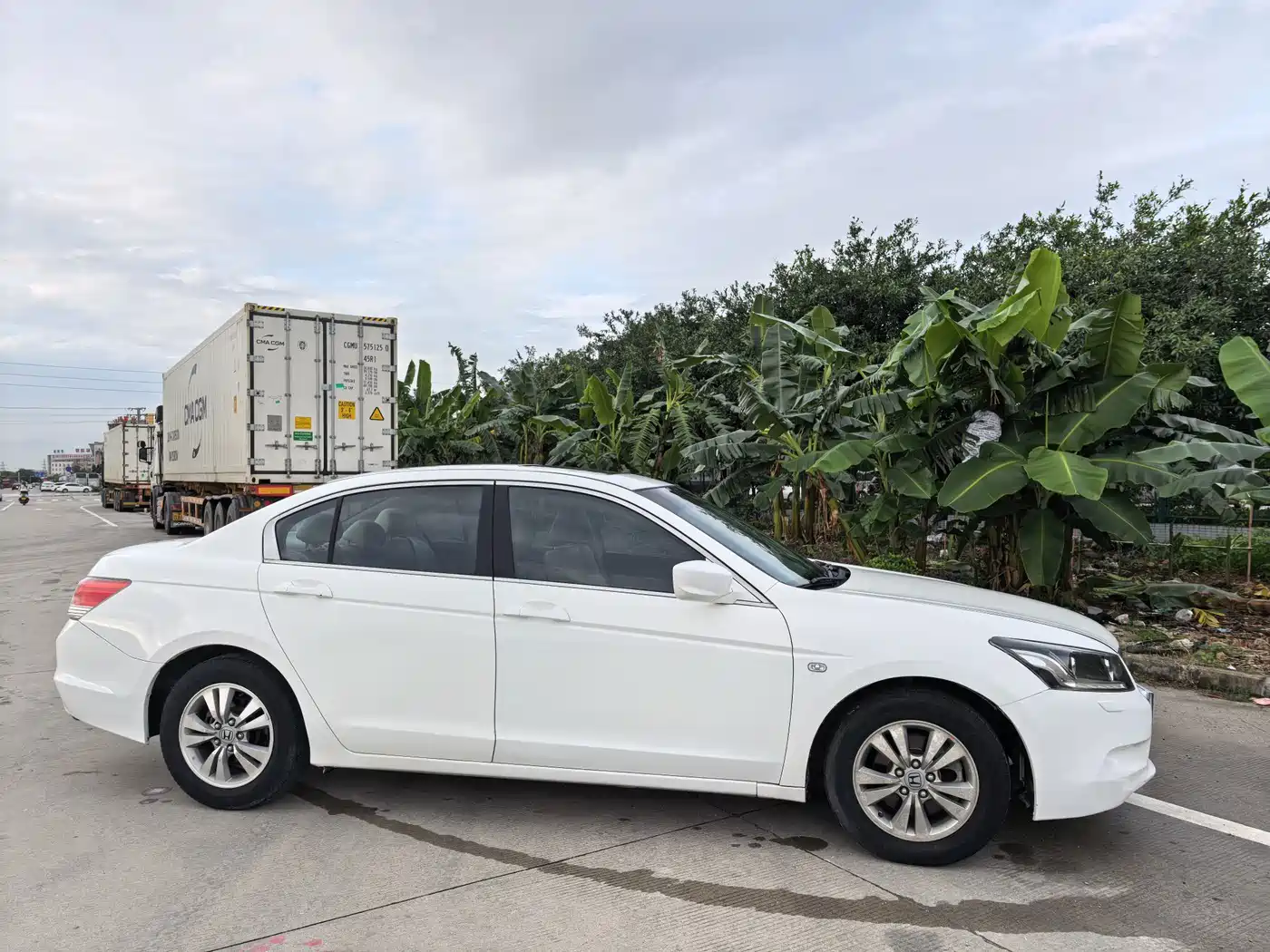 Honda Accord 2008 2008 2.0L EX