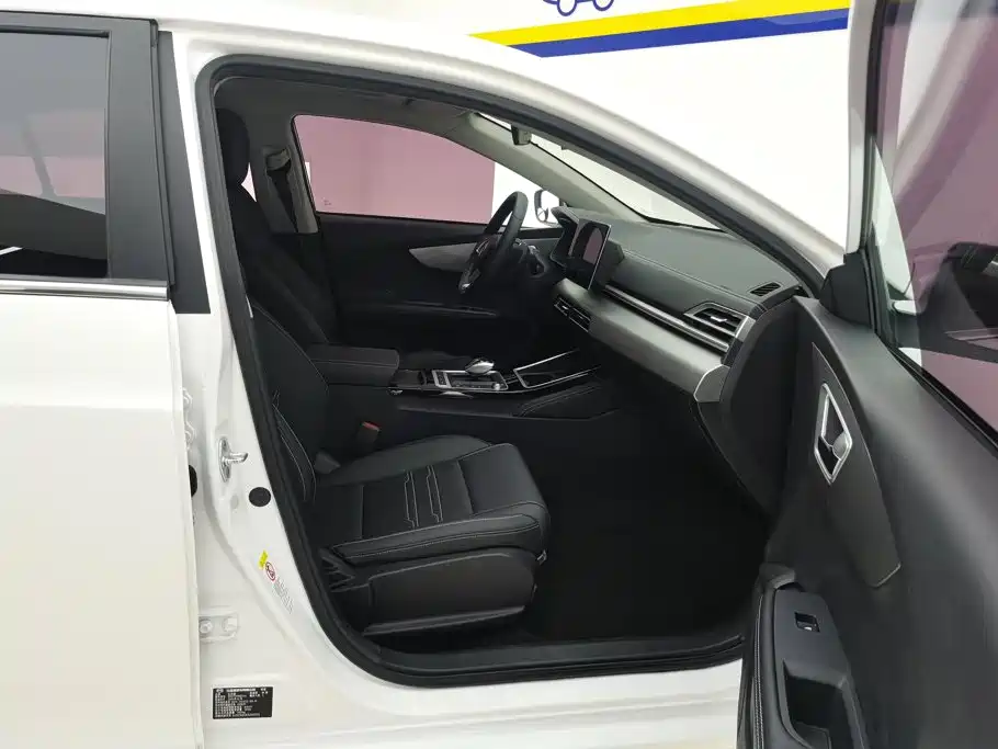 BYD Qin New Energy 2020 2019 Long Range Edition Premium