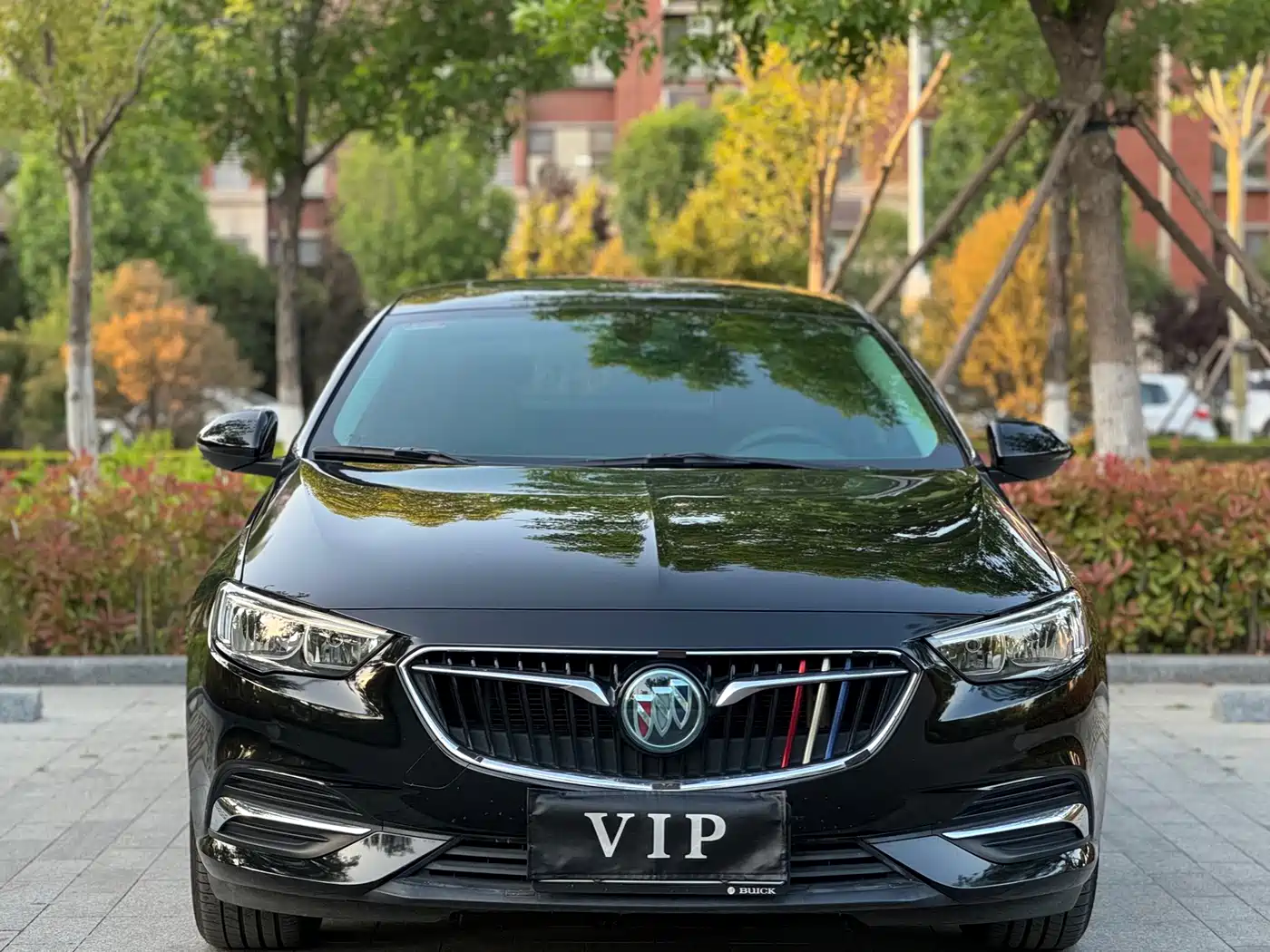 Buick Regal 2019 Model 20T Elite Type China V фото 2