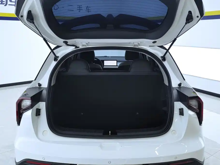Geely Geometry E Firefly 2022 2022 401KM Delicate Tiger 4-seater