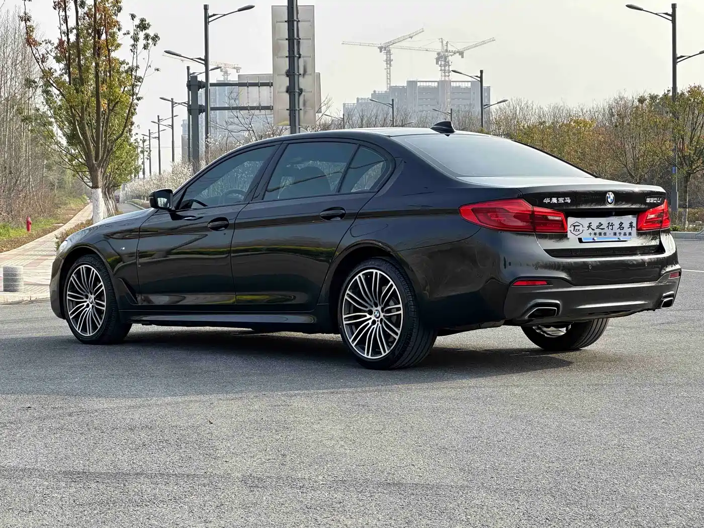 BMW 5 Series 2019 530Li Leading M Sport Package фото 19