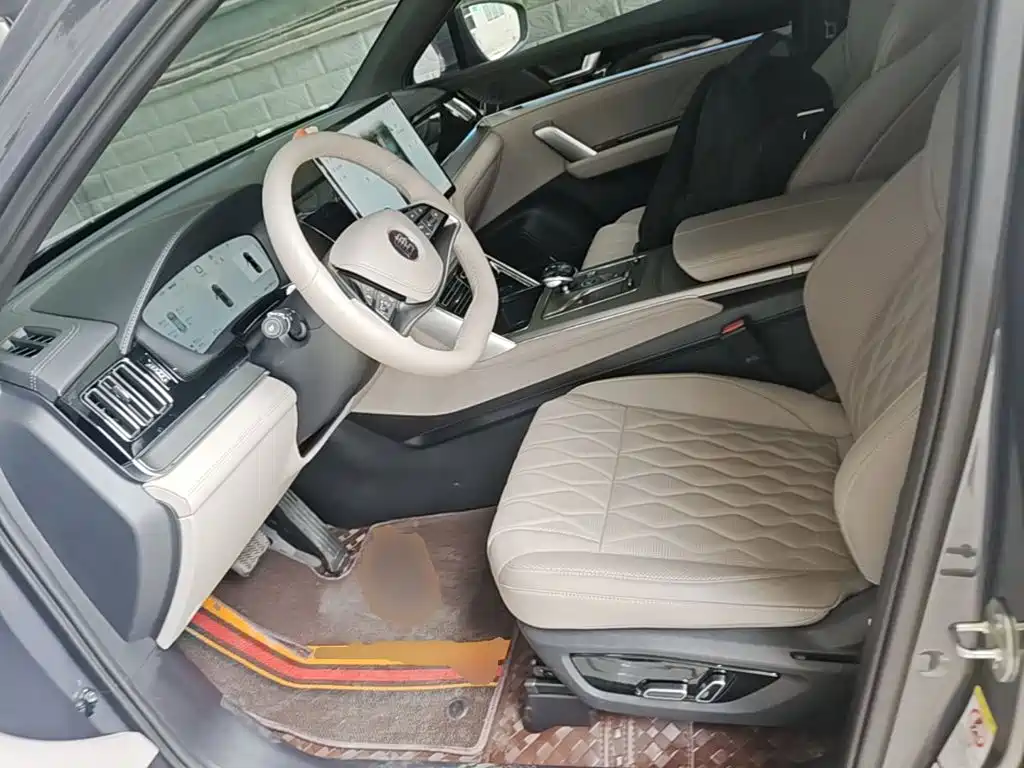 BYD Tang New Energy 2025 2025 Smart Driving Edition DM-i 115KM Premium