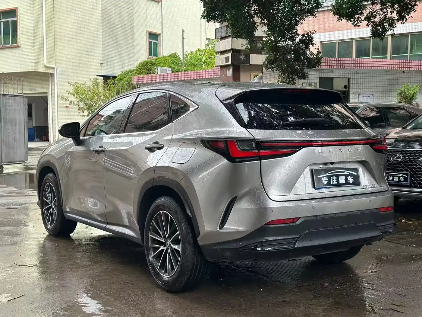 Lexus NX 2025 2024 260 FWD Innovation Edition