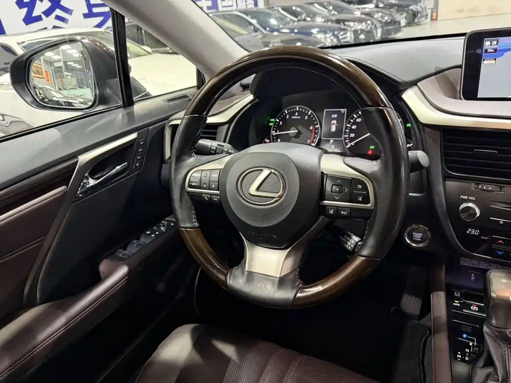 Фото 9 - Lexus RX