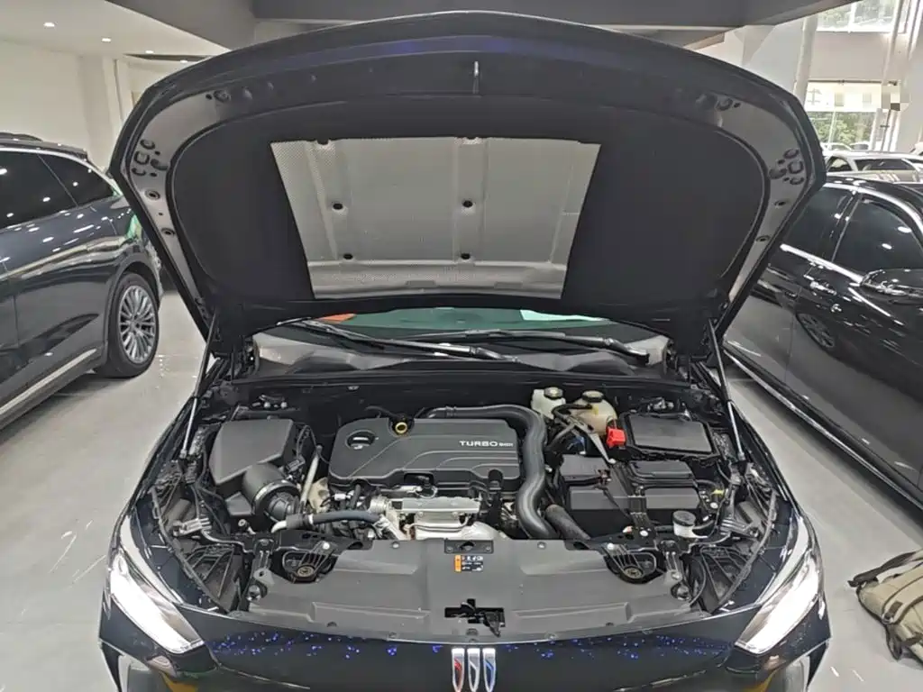 Buick Regal 2025 2024 Facelift 25T Super Enjoy Edition