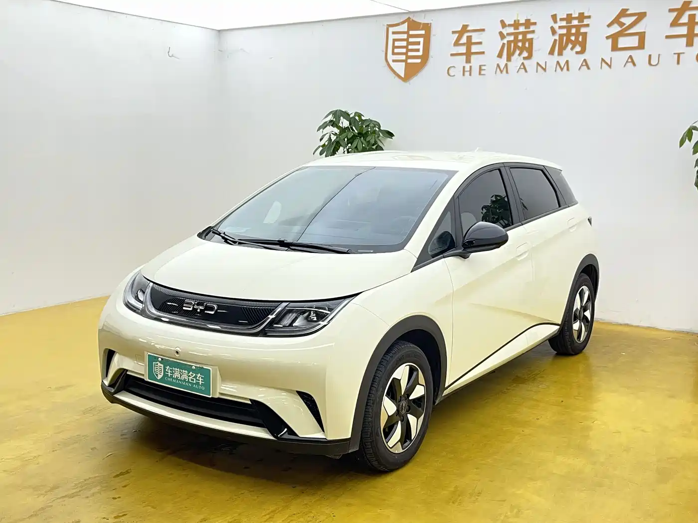 BYD Dolphin 2026 2025 420km Freedom Edition