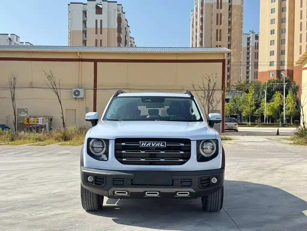 Фото 2 - Haval Dargo