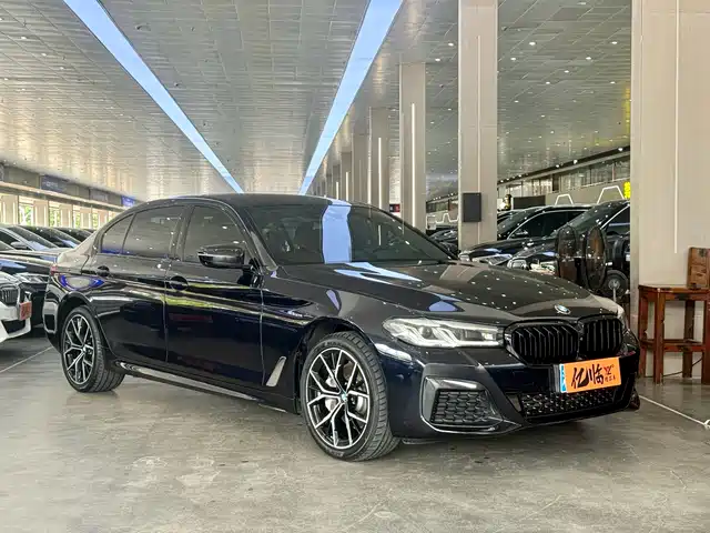BMW 5 Series 2021 530Li Premium M Sport Package — фото 3