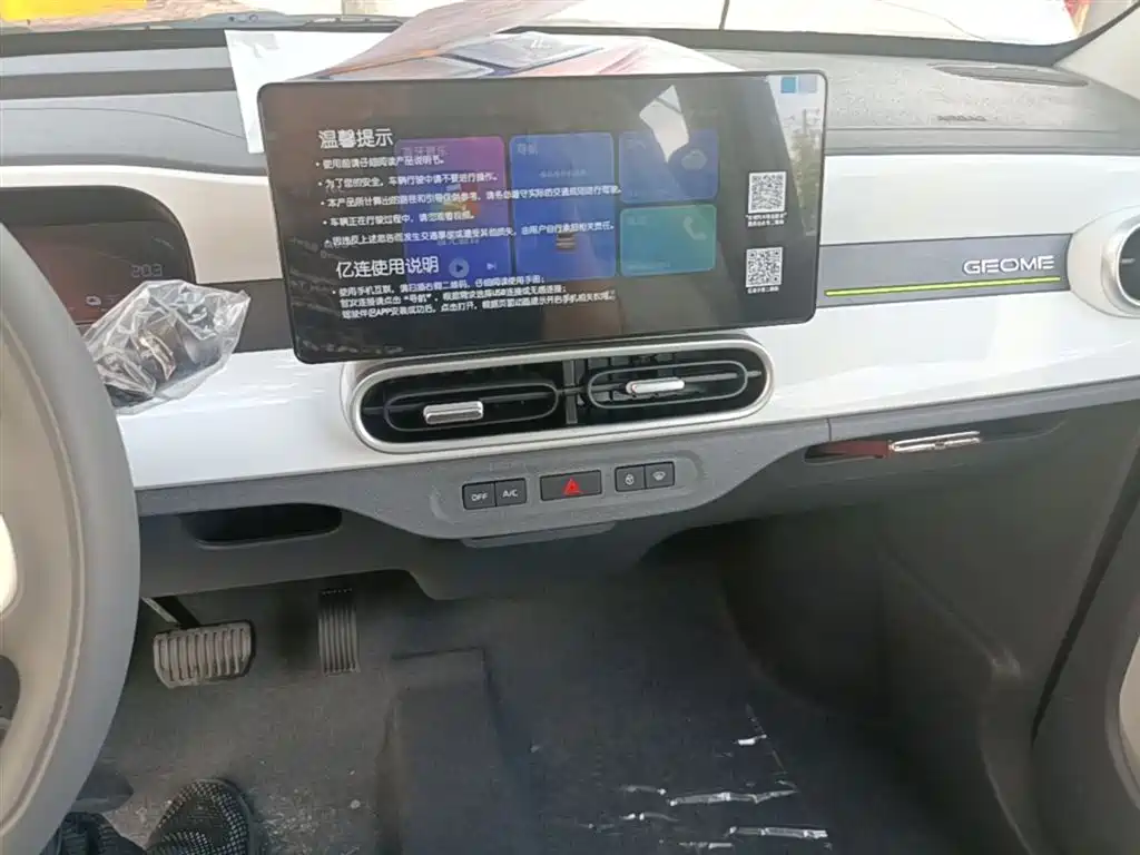 Photo 13 - Geely Galaxy Panda