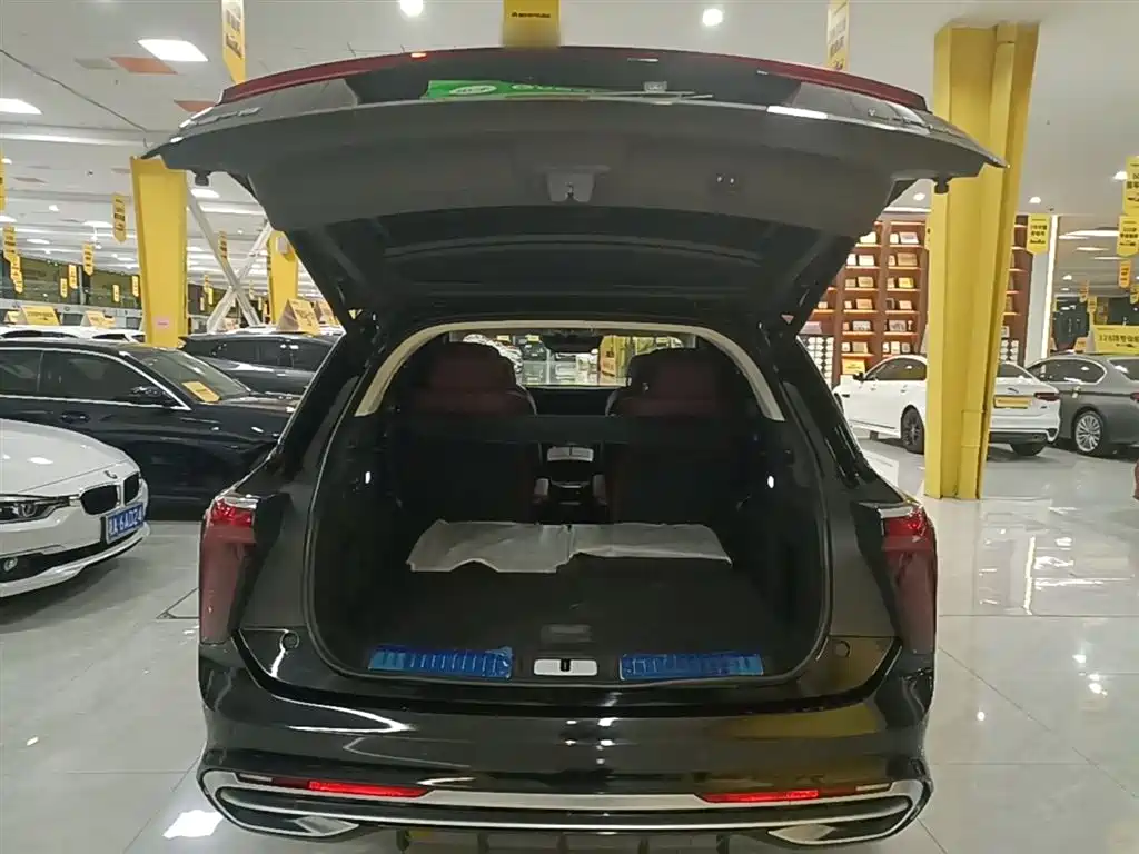 Hongqi E-HS9 2022 690km Qi Xiang Edition (6-seater) фото 19