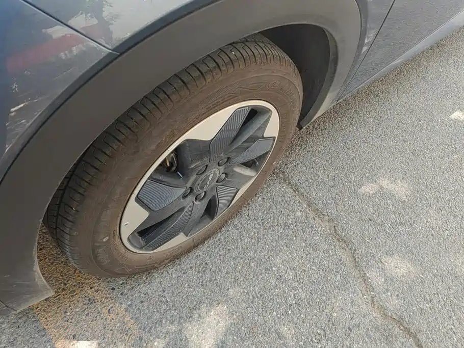 BYD Dolphin 2026 2025 420km Freedom Edition