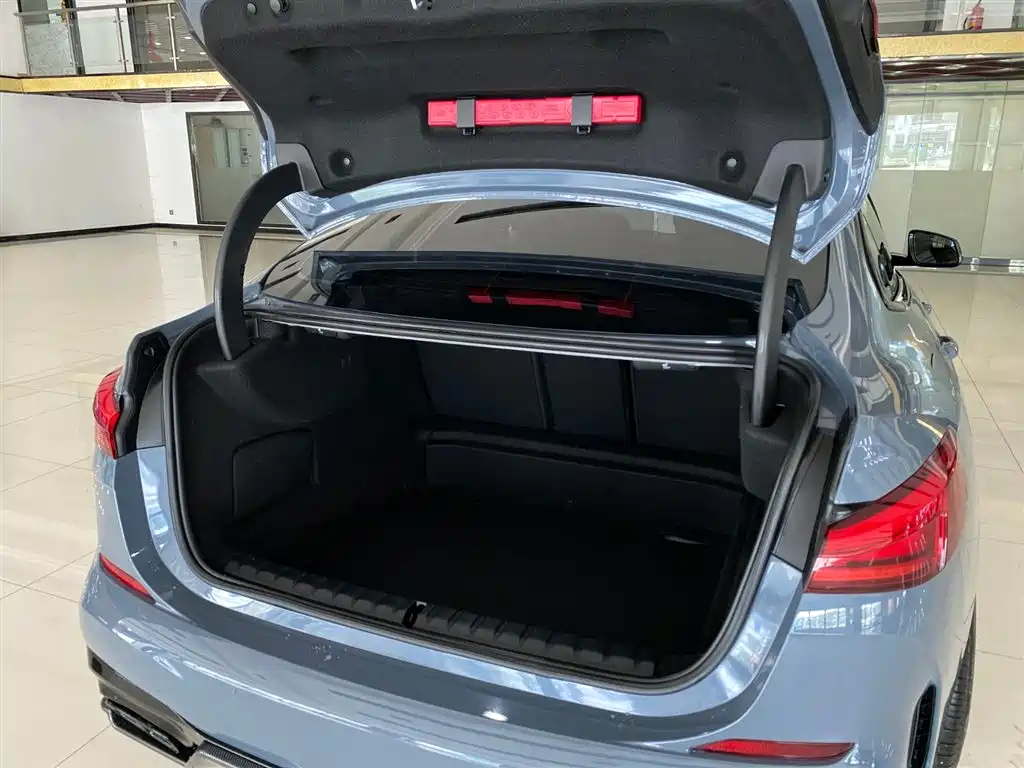 BMW 2 Series (Import) 2021 225i 4-Door Gran Coupe M Sport Shadow Edition фото 22