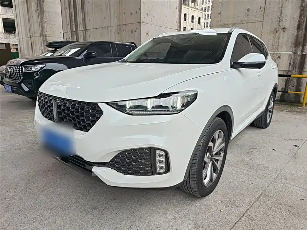 WEY VV6 2020 2.0T 2WD Smart Protection+
