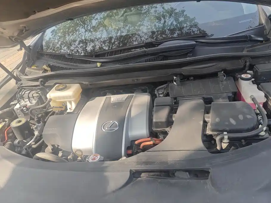 Photo 10 - Lexus RX