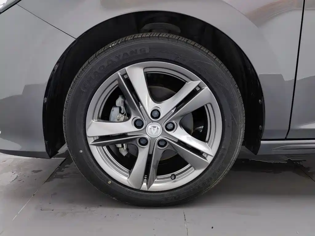 Changan Ruicheng PLUS 2023 2023 1.5T DCT Premium