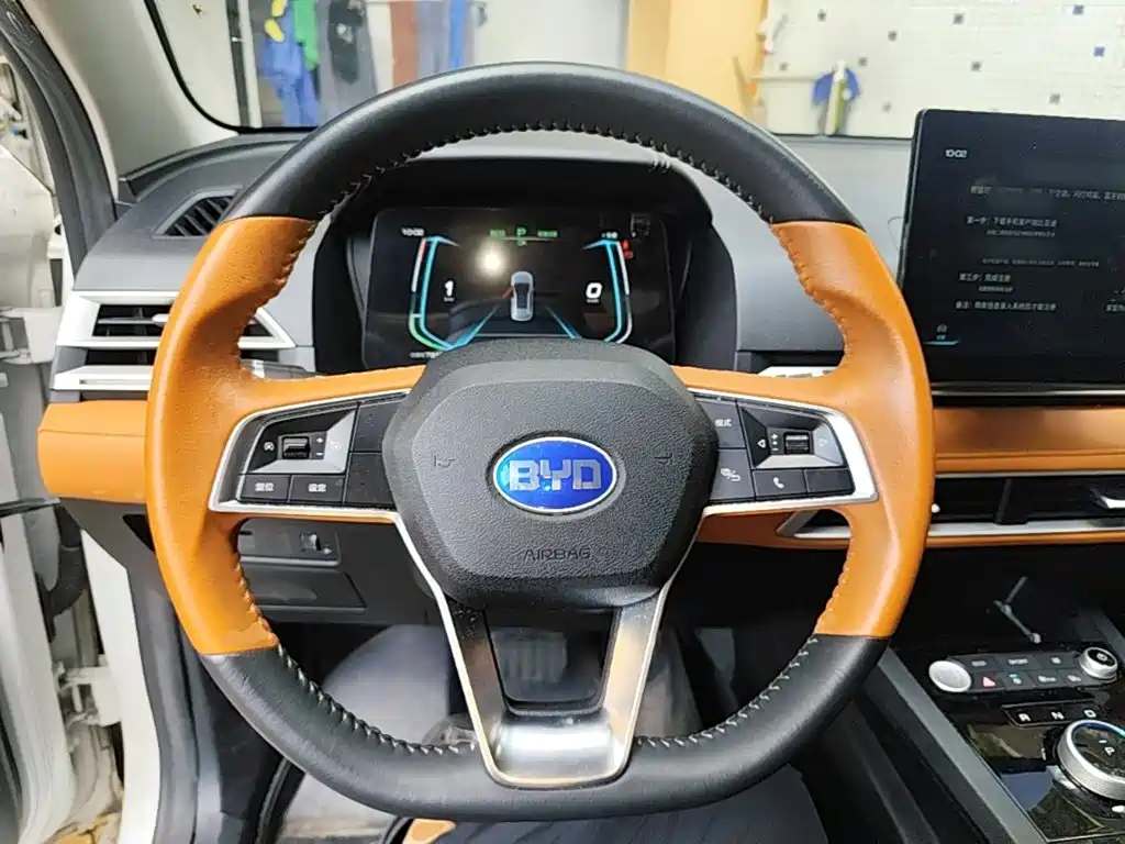 BYD e2 2021 2021 Luxury Edition
