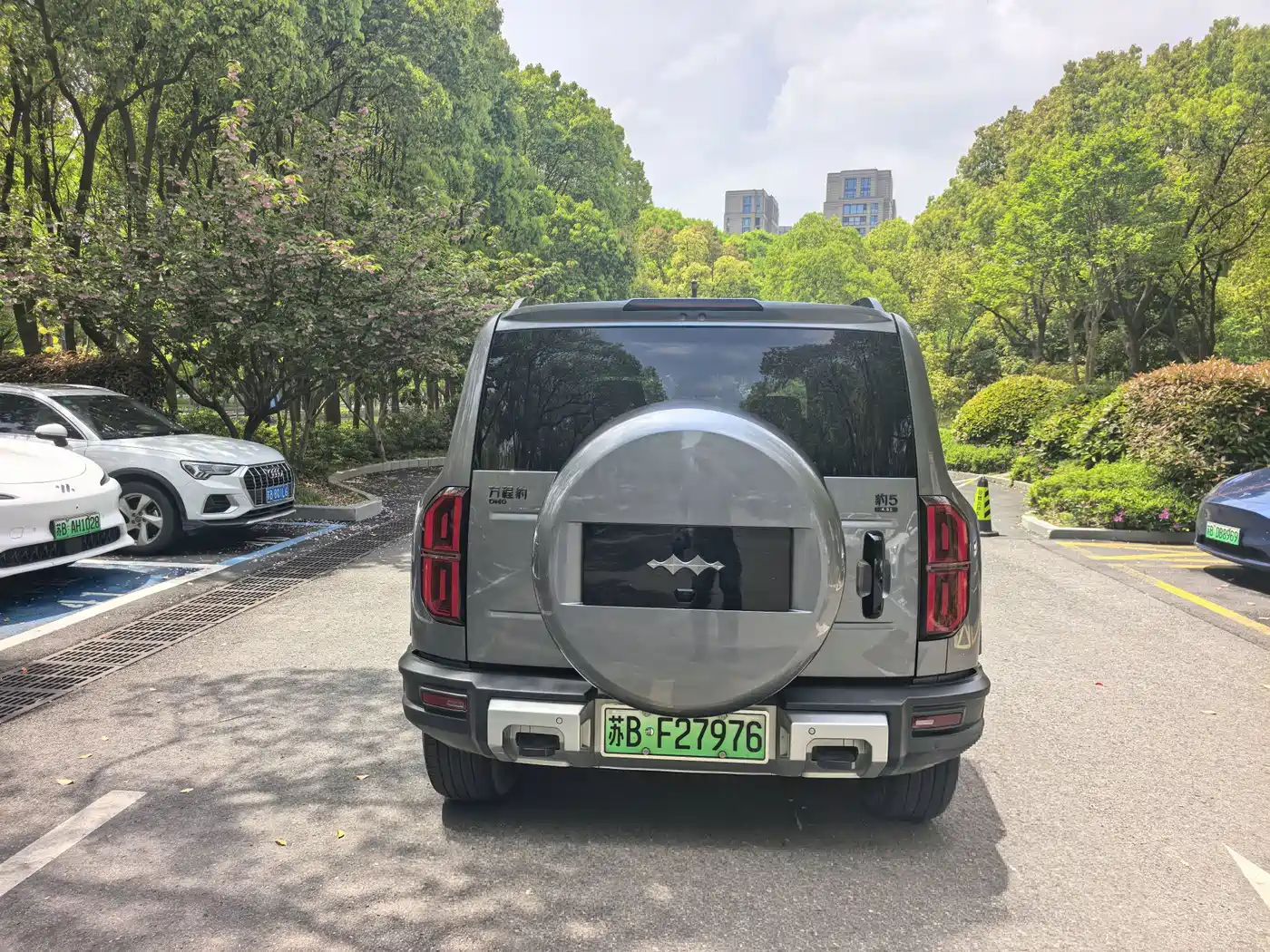 FANG CHENG BAO LEOPARD 5