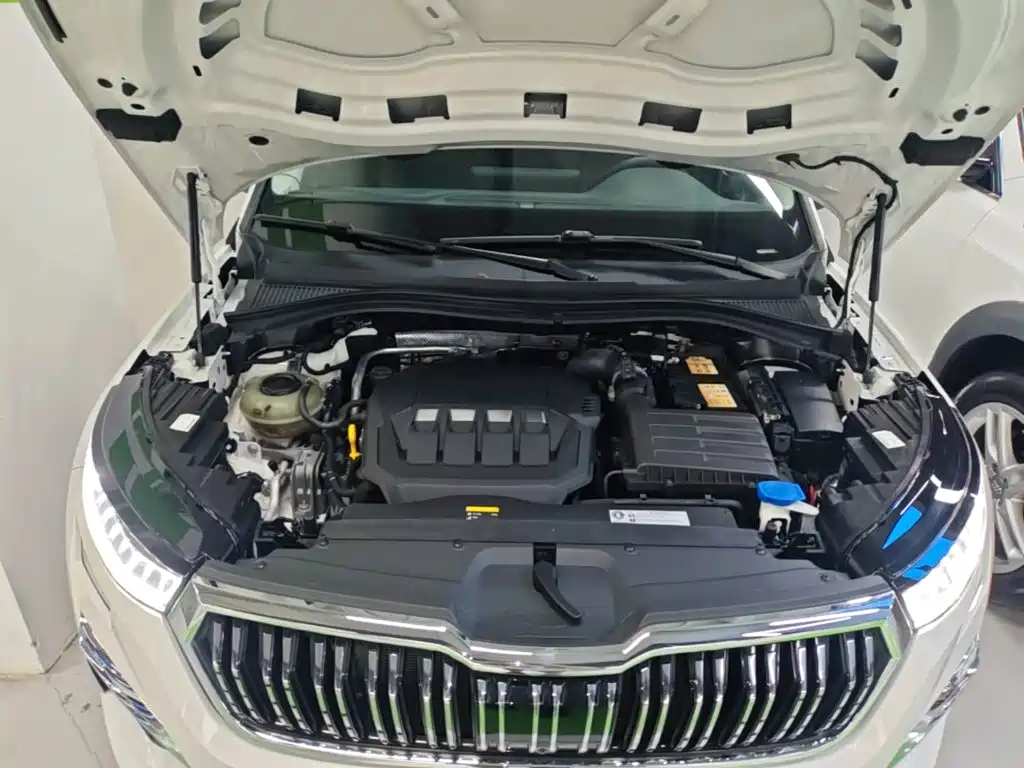 Фото 20 - Škoda Kodiaq