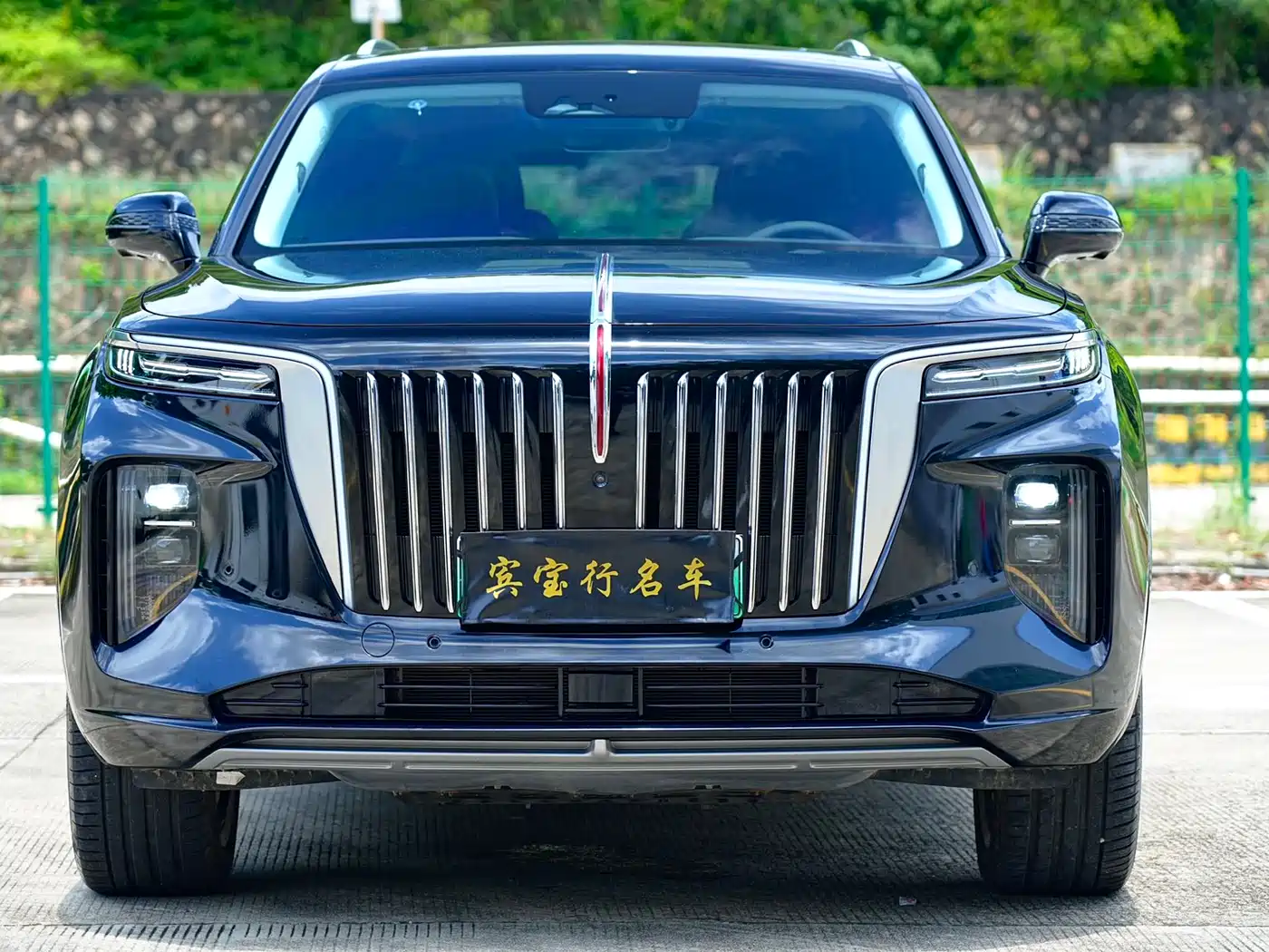 Hongqi E-HS9 2023 2022 660km Qi Chang Edition (6-seater)