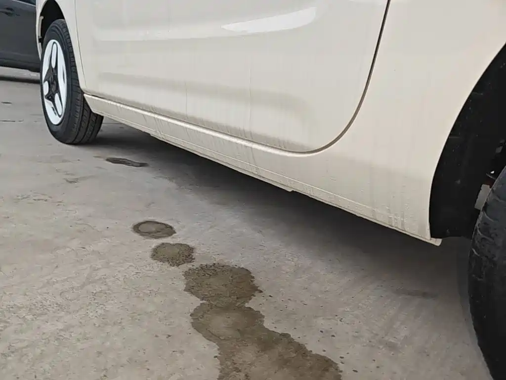 Geely Galaxy Panda 2026 2025 Panda mini 210km Vitality Bear