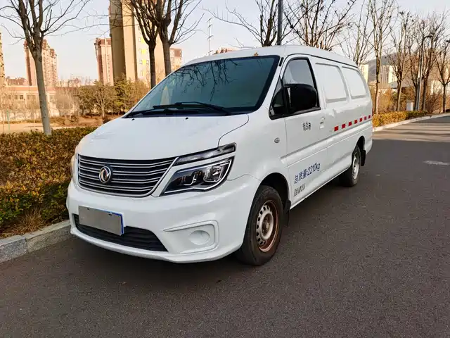 dongfeng lingzhi