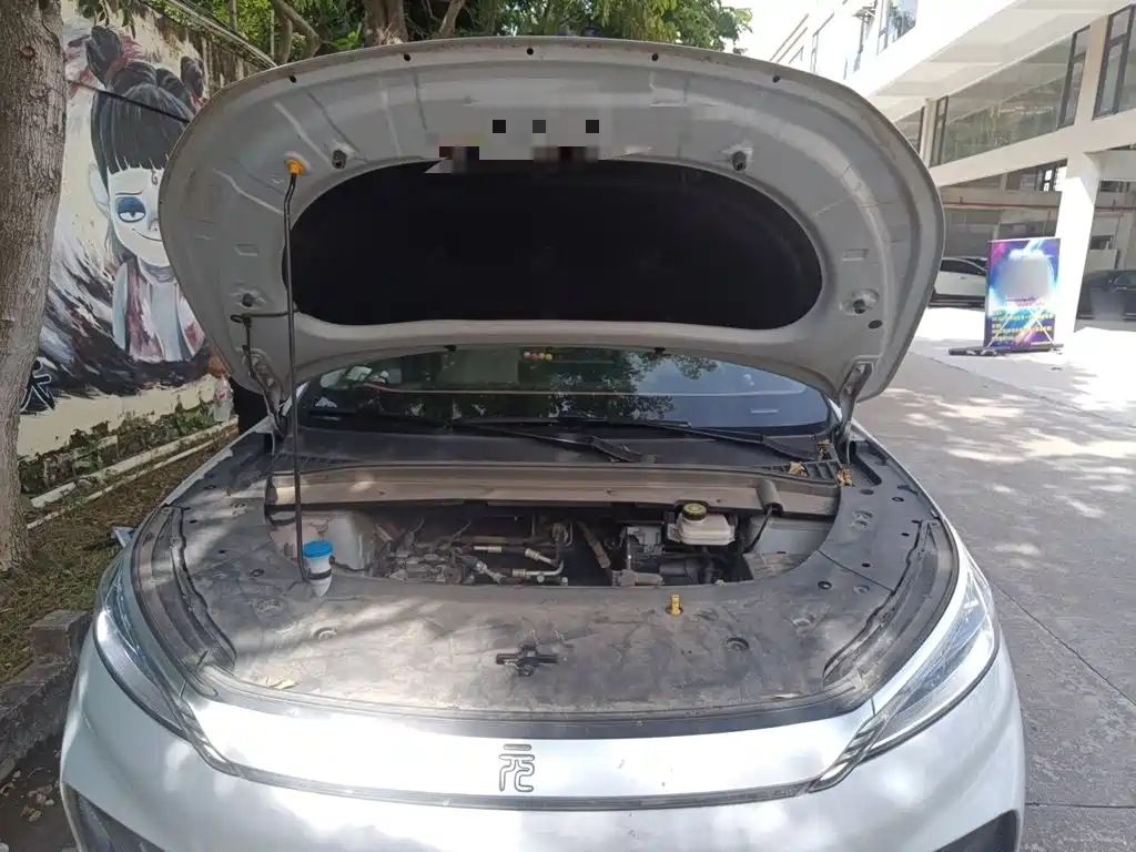 BYD Yuan PLUS 2025 2024 Glory Edition 430KM Leading