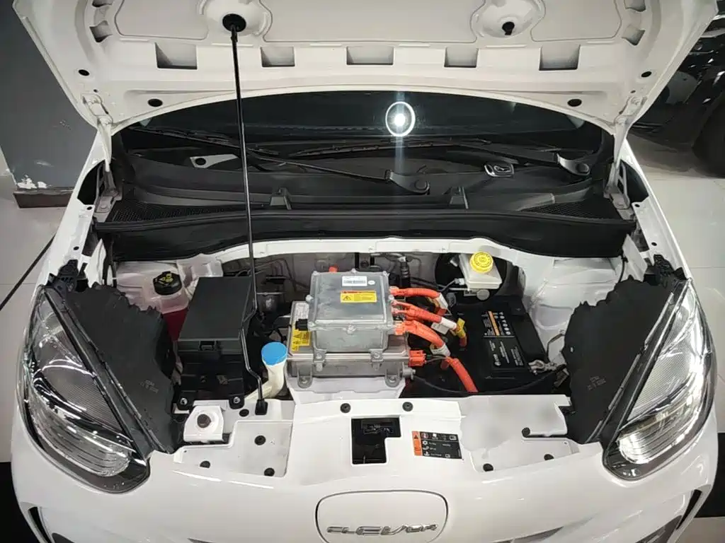 Roewe Kaiwei CLEVER 2024 2022 311km Vitality Bobo Edition
