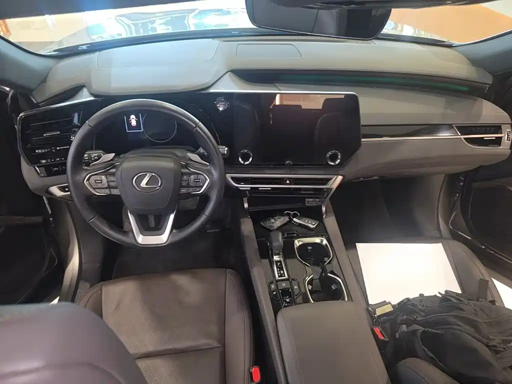 Фото 15 - Lexus RX