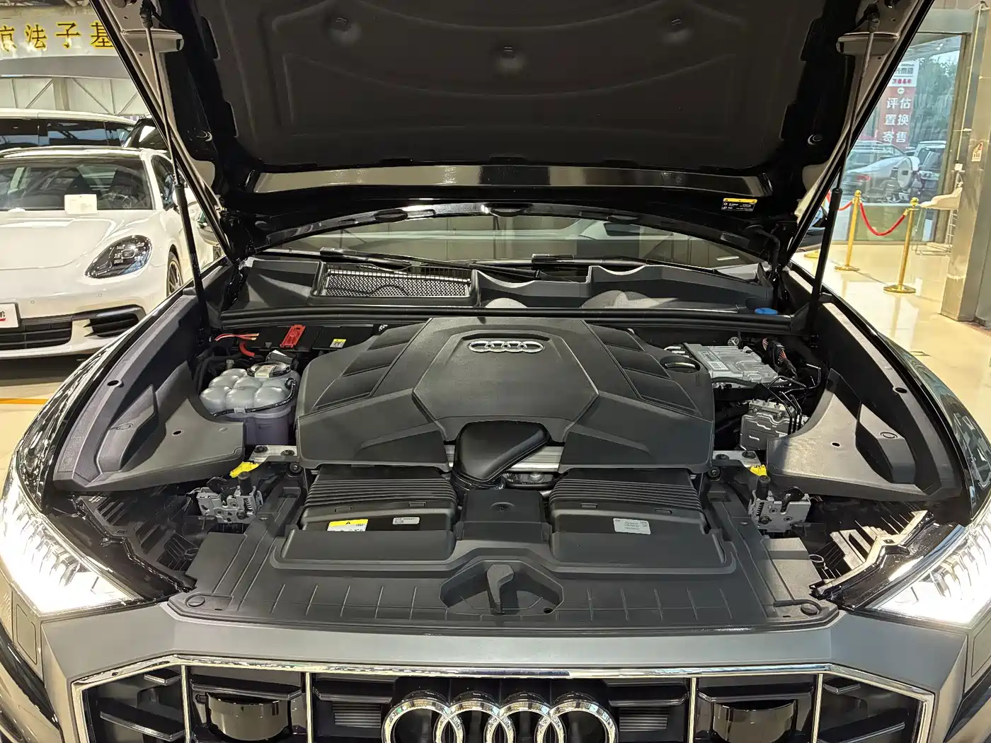 Audi Q8 2025 2023 55 TFSI Luxury Sport