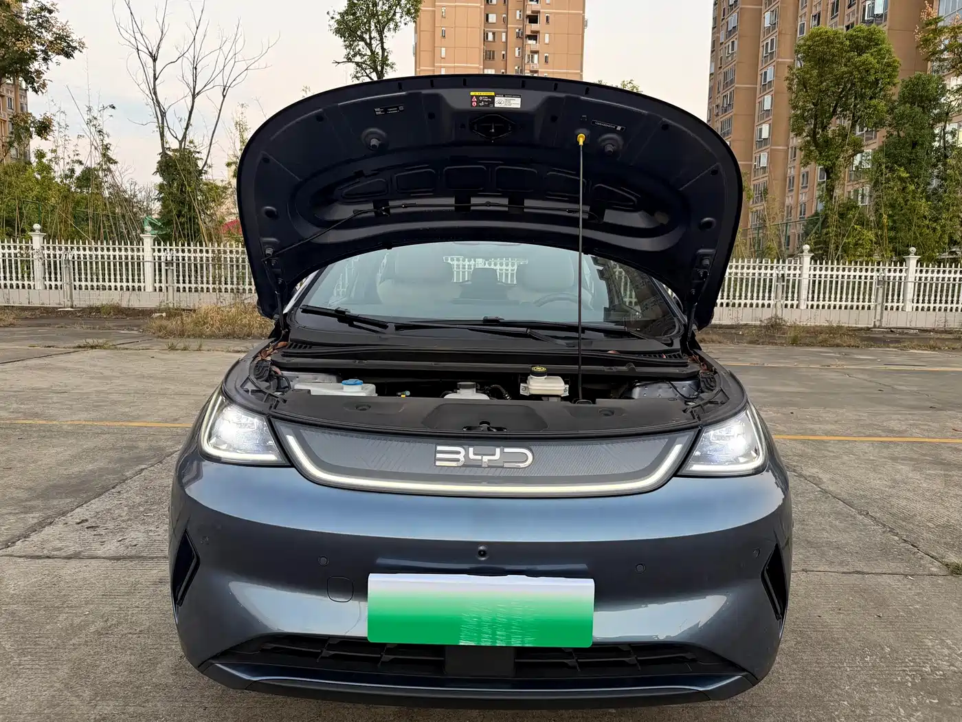 BYD Dolphin 2026 2025 Smart Drive Edition 410km Fashion Version