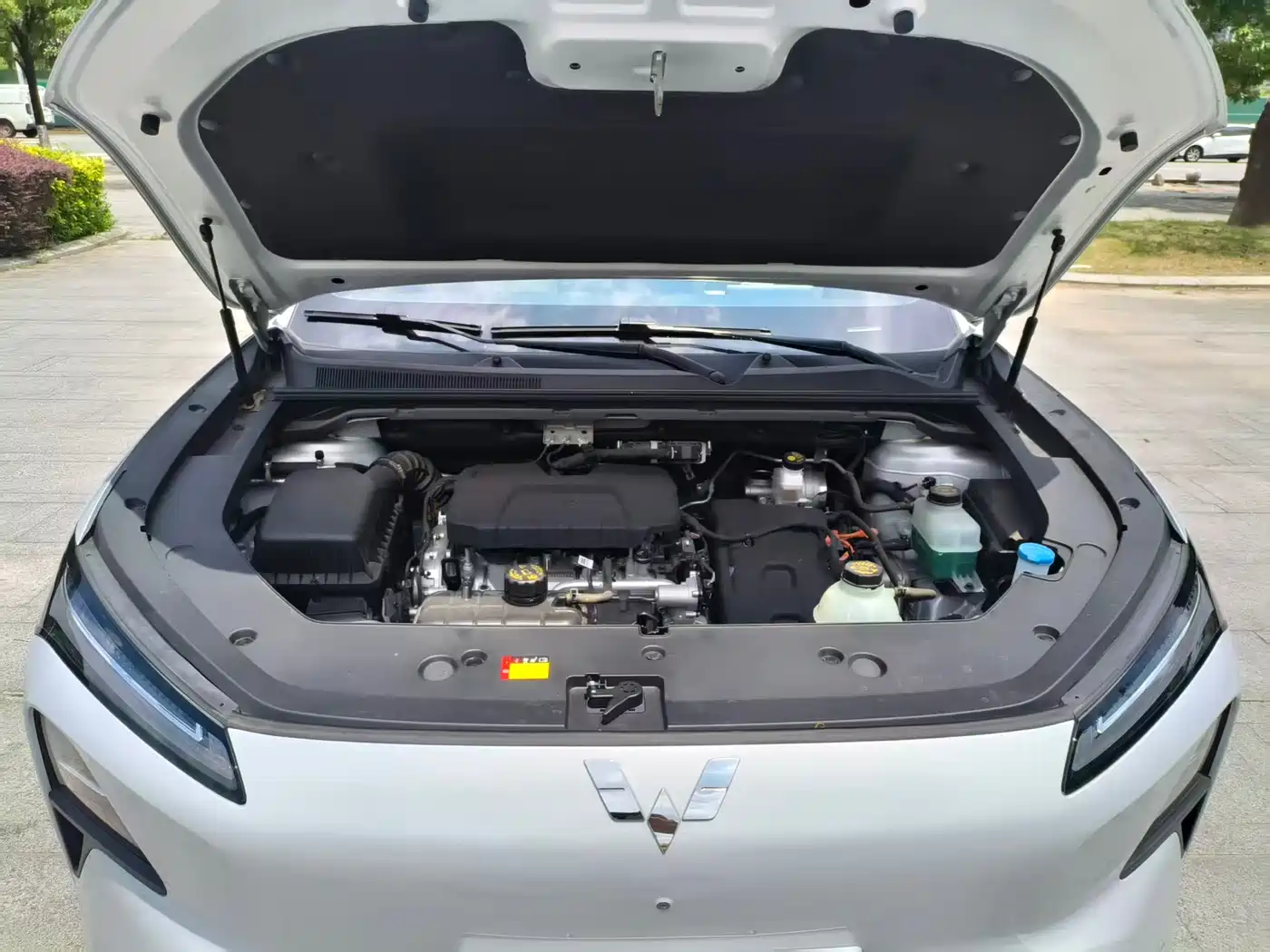 Wuling Motors Wuling Xingguang S 2024 2024 130km Flagship Model