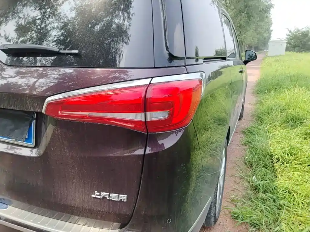 Фото 8 - Buick GL8