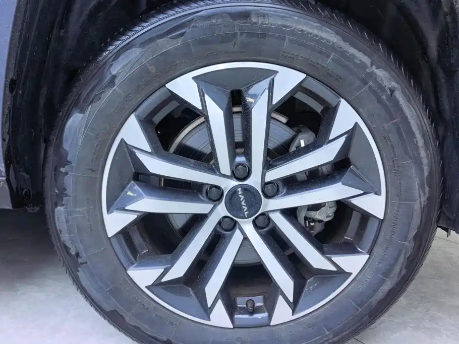 Haval Da Gou 2nd Gen 2024 2023 2.0T 2WD Trendy Off-road Edition Plus