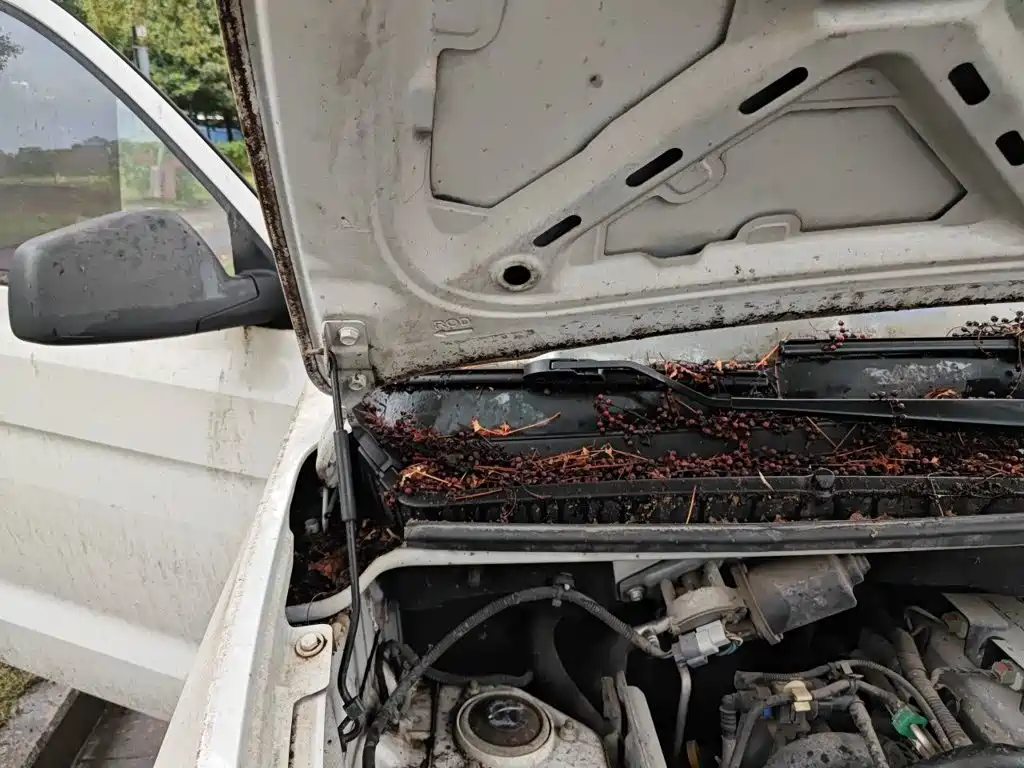 Фото 21 - Wuling Motors Wuling Hongguang V