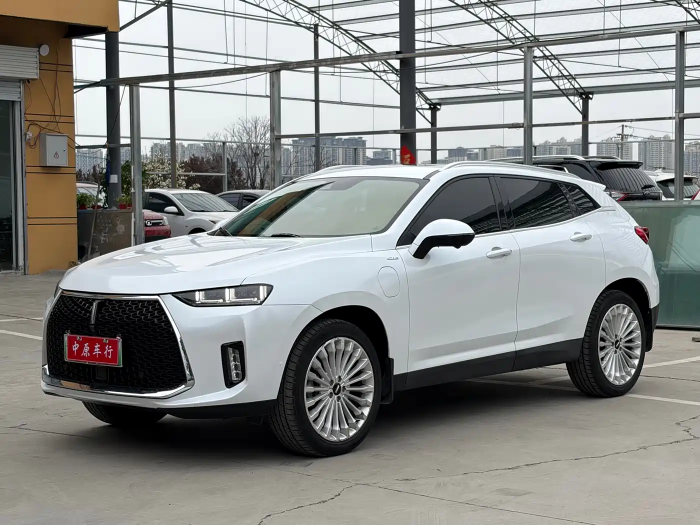 WEI PAI WEI BRAND P8