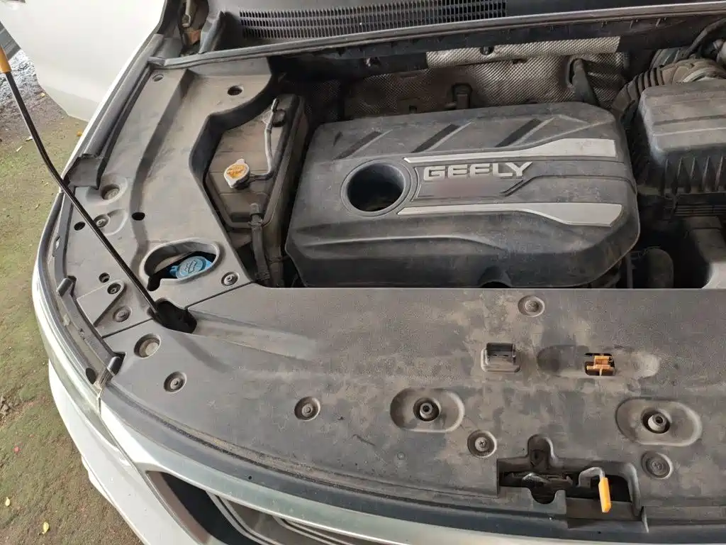 Фото 20 - Geely Emgrand X6