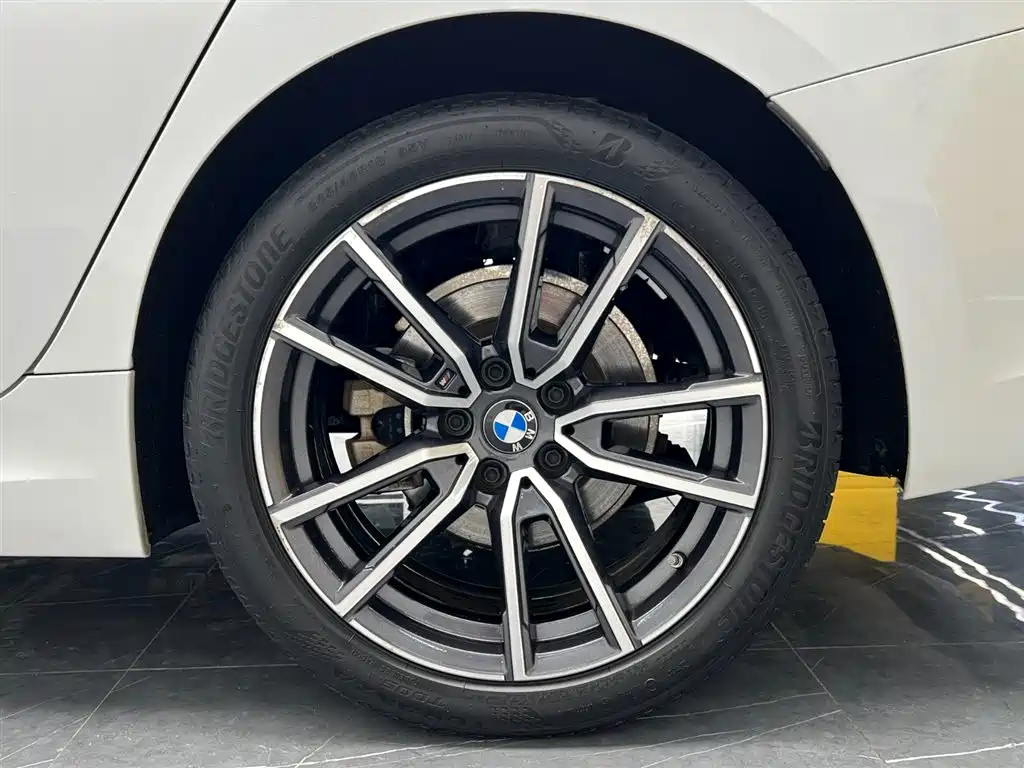 BMW 3 Series 2020 325Li M Sport Package фото 26