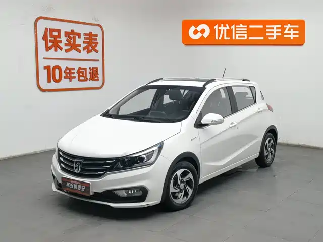 BAOJUN 310