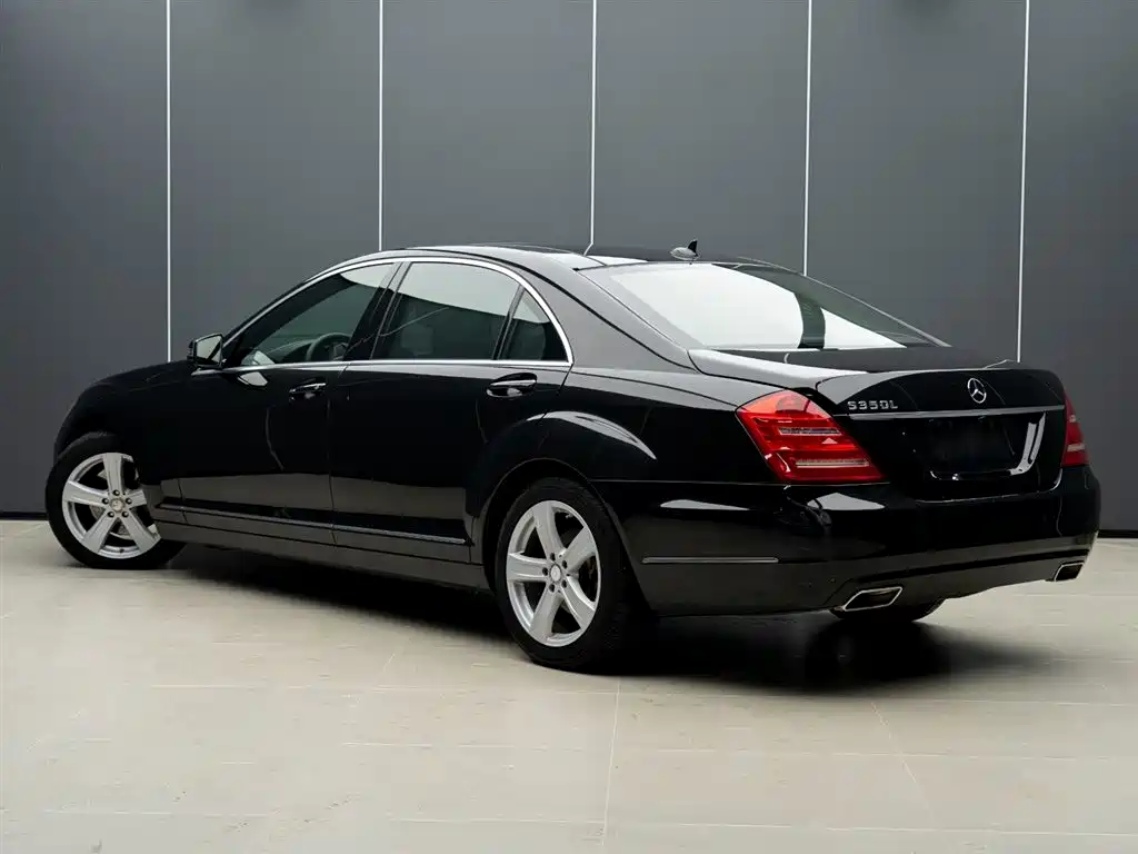 Mercedes-Benz S-Class 2010 S 350 L Luxury фото 3